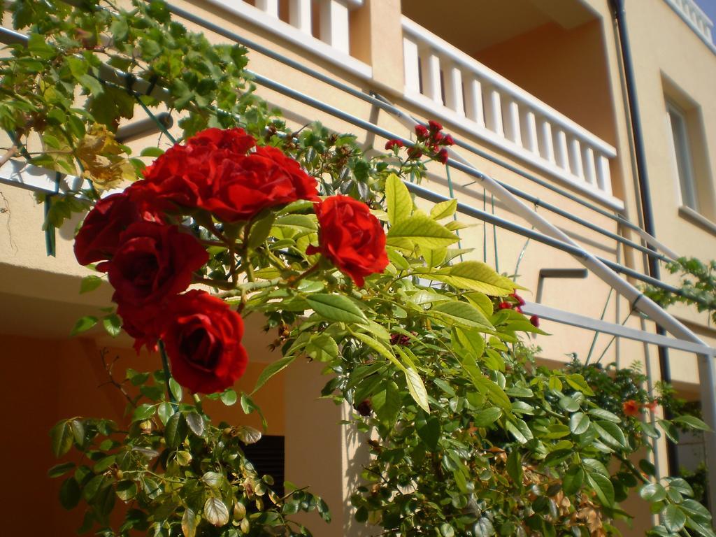 Apartments Tare, Free Parking Vodice Room photo